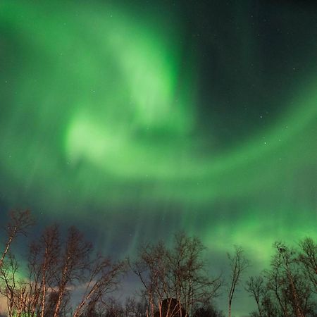 Ofelas Islandshaestar & Guideservice Kiruna Exterior photo