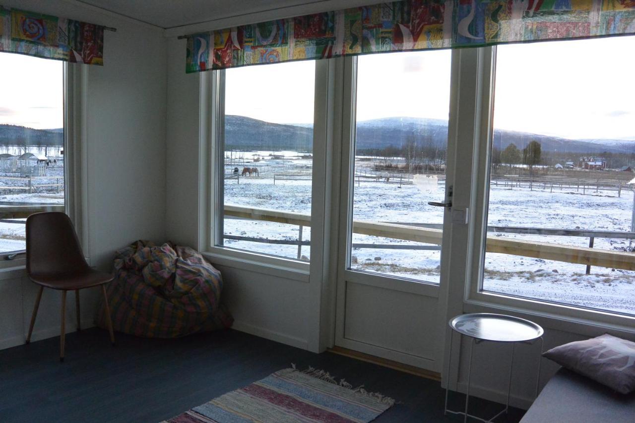 Ofelas Islandshaestar & Guideservice Kiruna Exterior photo