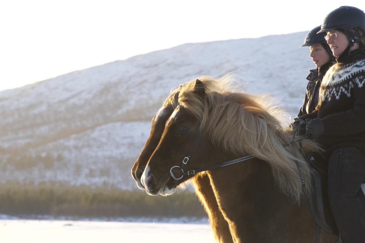 Ofelas Islandshaestar & Guideservice Kiruna Exterior photo
