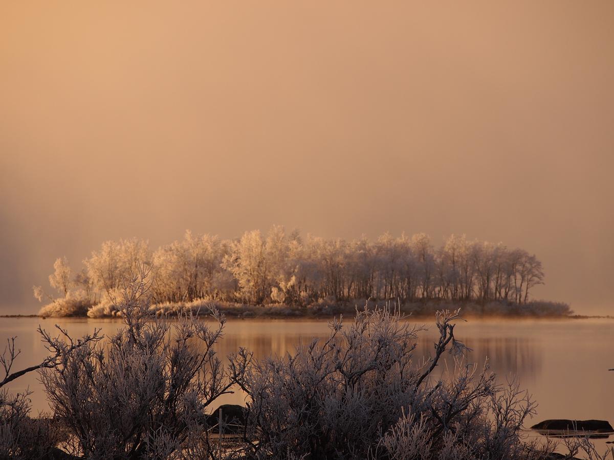 Ofelas Islandshaestar & Guideservice Kiruna Exterior photo