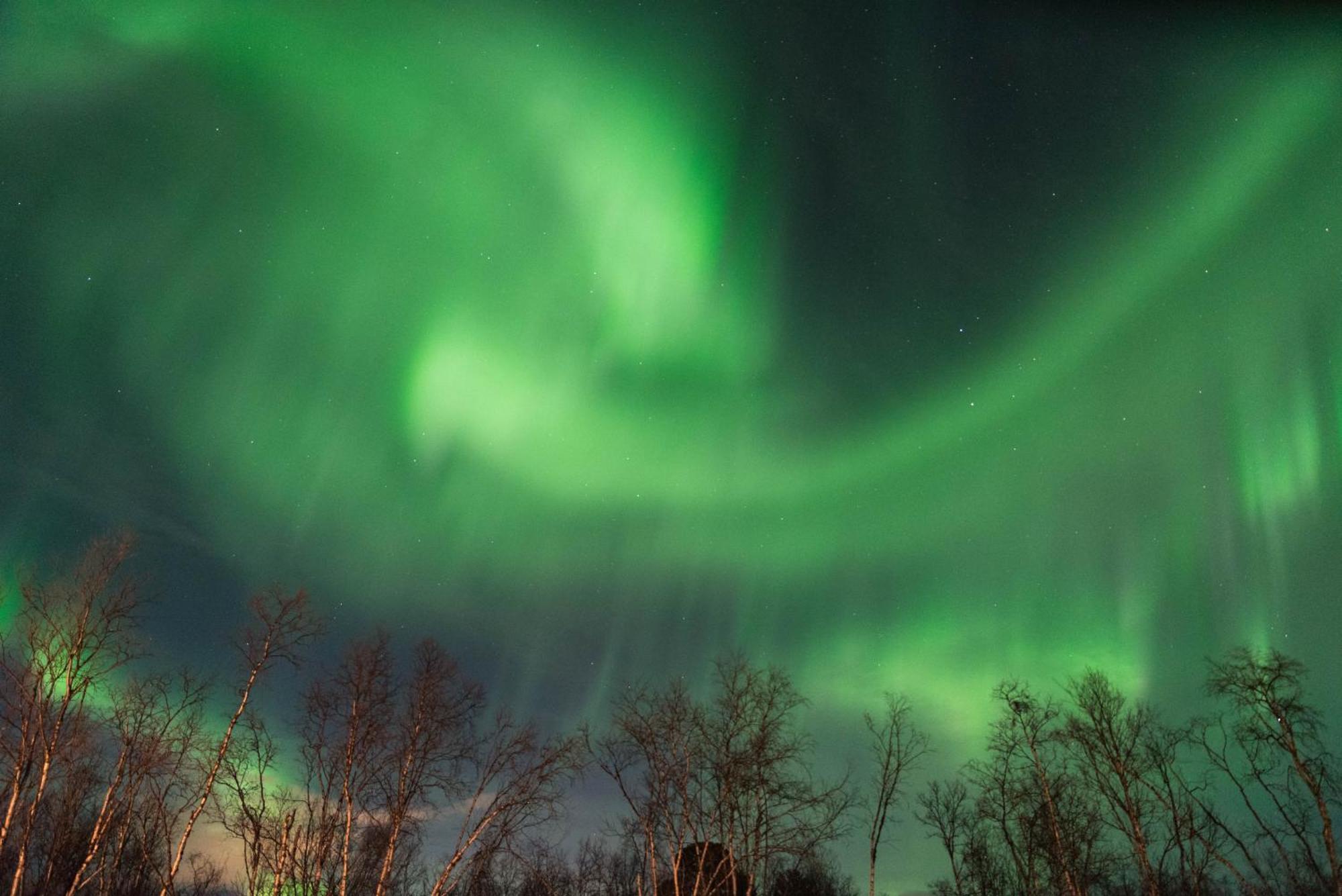 Ofelas Islandshaestar & Guideservice Kiruna Exterior photo