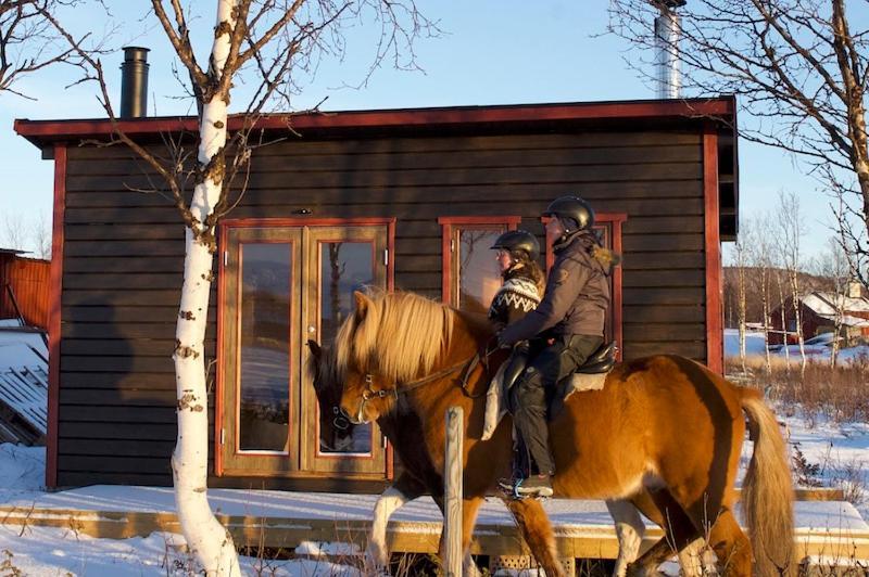 Ofelas Islandshaestar & Guideservice Kiruna Exterior photo